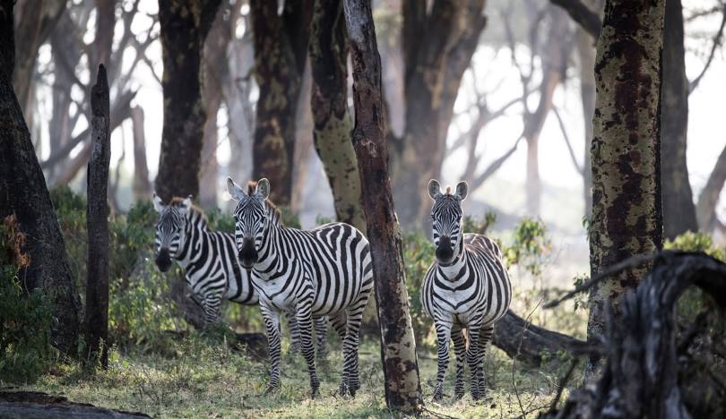 Crescent Island Game Sanctuary naivasha