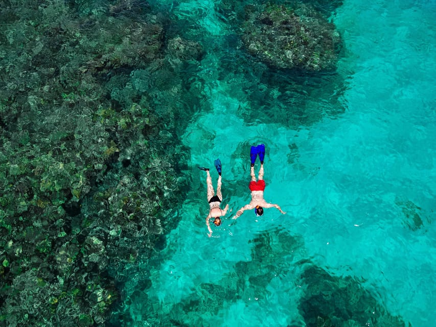 Snorkelling in seychelles