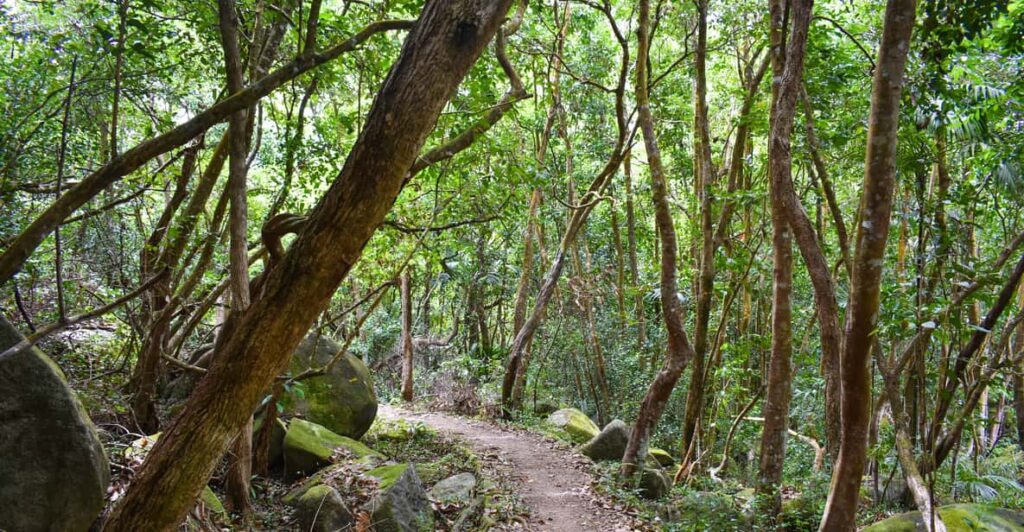 Hiking in seychelles