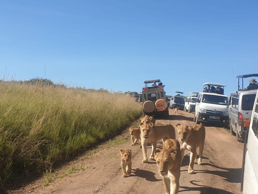 nairobi national park